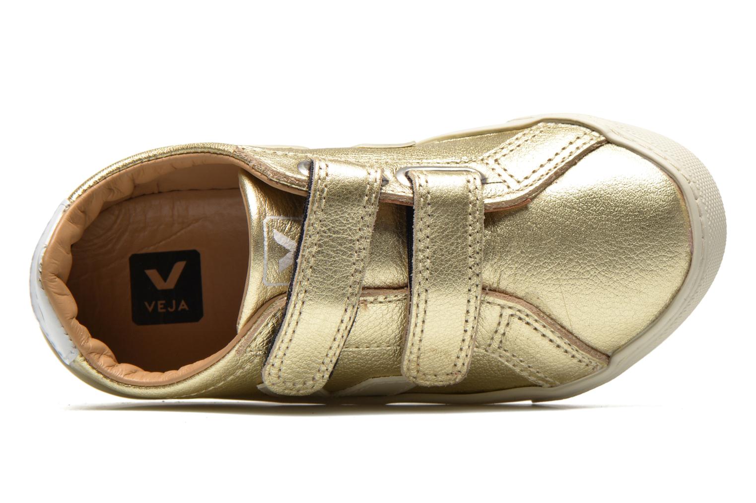 esplar velcro