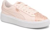 sarenza basket blanche femme
