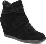 Ash Titan Ankle boots in Black at Sarenza.co.uk (202474)